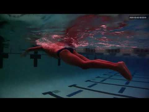 Video of Swimming Video