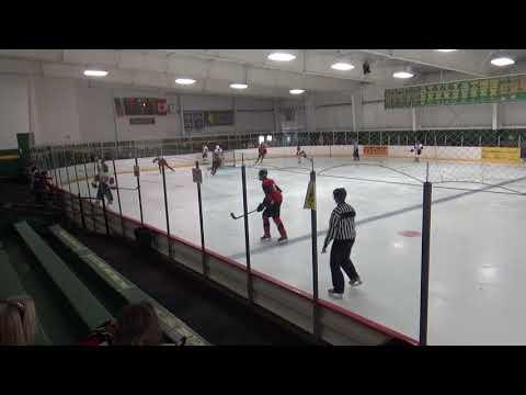 Video of 2020 USHL Combine 2005s White and Red jerseys #4