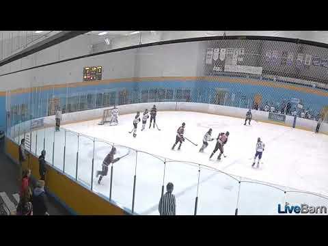 Video of Short-handed goal 