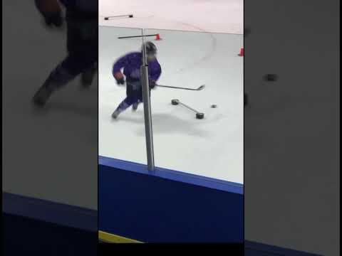 Video of stick handling training 