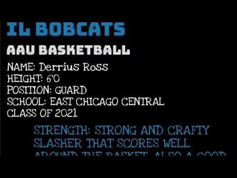 Video of Illinois bobcats 