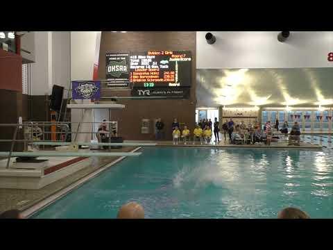 Video of Riley Hunt at 2023 OHSAA State Diving Championships