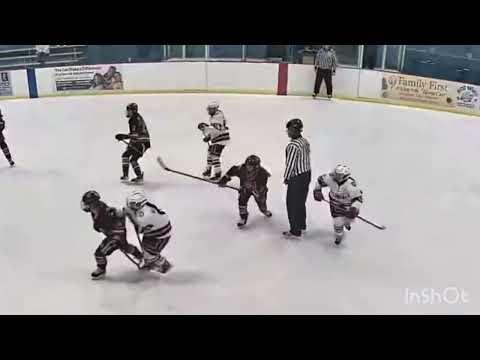 Video of Addison Albrecht- 2023-2024 Season Highlights- Princeton Tiger Lilies