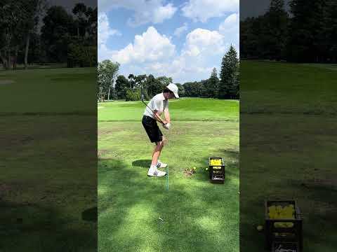 Video of Smooth Wedge