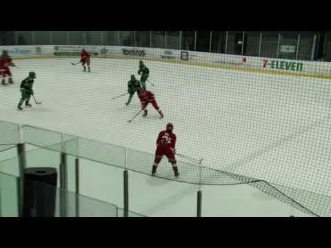 Video of Dallas Stars Elite U19 #13 vs Belle Tire #7 2/26/21