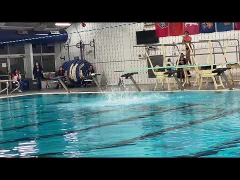 Video of Diving Reel