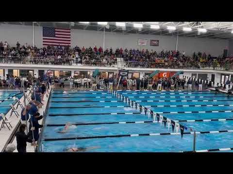 Video of Hollyn Ambre 500 free-IHSA state 11/10/2023