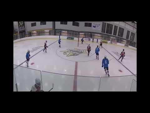 Video of Buffalo regals 