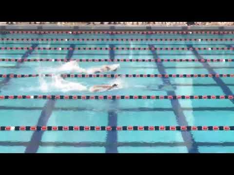 Video of PIAA State Swim Off