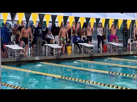 Video of 100 Breaststroke