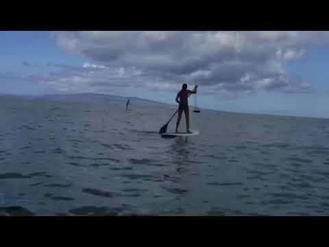 Video of Maui paddle boarding 