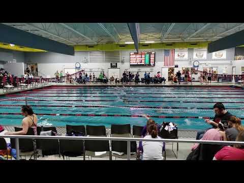 Video of DCST Winter Classic 1/27/2019 - 100 Backstroke Lane 2 (far)