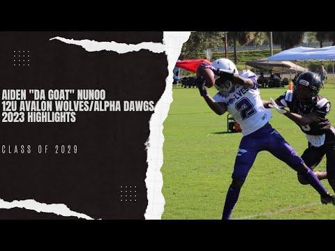 Video of Aiden Nunoo full szn 12u highlights 