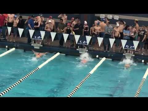 Video of 100 fly 2018 state 
