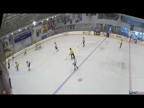 Video of Redirect Goal