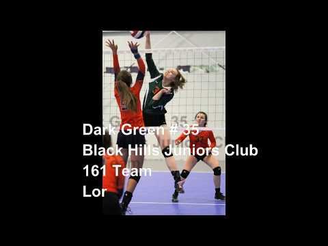 Video of Alli 10th grade VB highlights