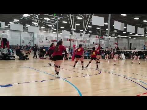 Video of Volleyball Highlight