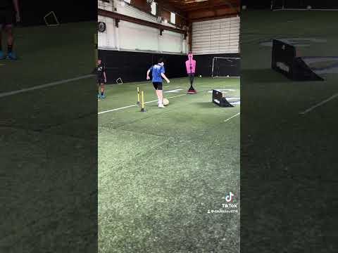 Video of Training