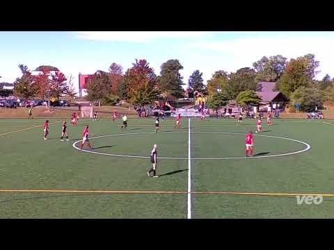 Video of Michigan Hawks ECNL Highlights