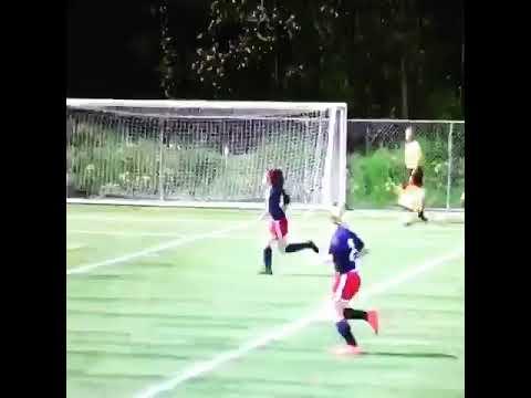 Video of Goal