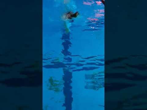 Video of 100 Free 11/07/2020