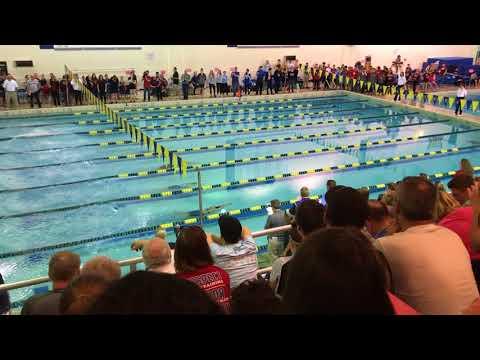 Video of 100 Breastroke WV State Championship record