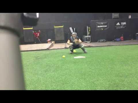 Video of november 2017 catching