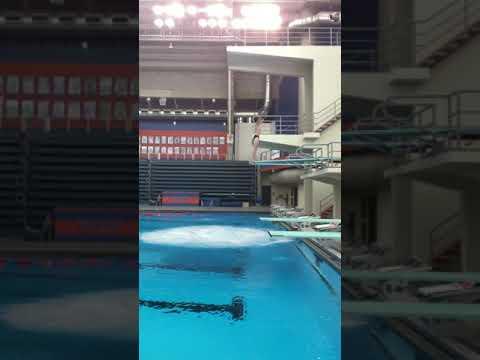 Video of Back 2.5 Somersault, 3M