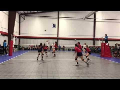 Video of Daisy Cook Setter vs Excel VBC March 2017