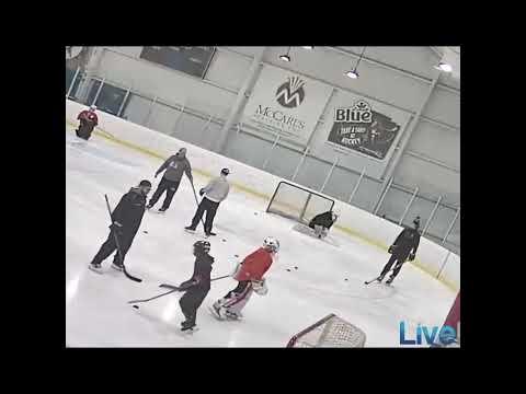 Video of Holiday Goalie Camp