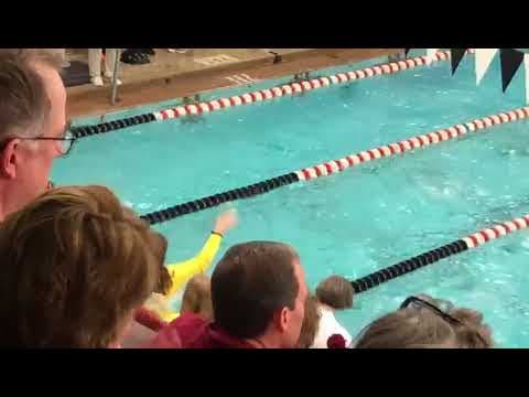 Video of 200 IM final OHSAA State Championship (lane 2)