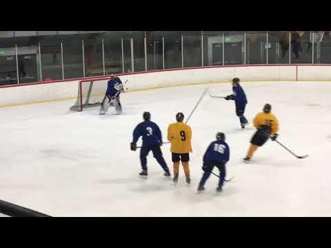 Video of NAHL Combine /CA Cougars-Highlights May 2021