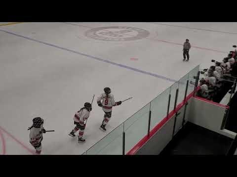 Video of Brooklyn Beatty Penalty Kill Goal