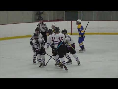 Video of D-S/Weston Hockey vs. Norwood 1/30/2023