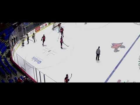 Video of NY Saints at Utica Comets