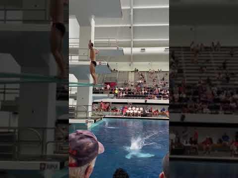 Video of 3m dives