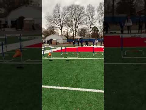 Video of Hurdle Over one hurdle ( first practice)