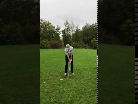 Video of Full Wedge from face view