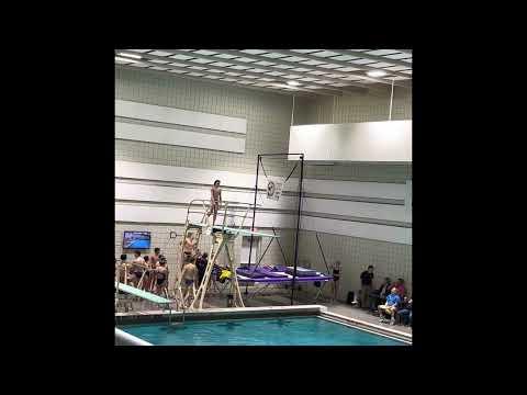 Video of Diving Compilation 2023