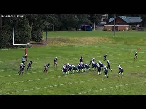 Video of #7 Touchdown - Pass