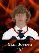 profile image for Cam d Soenen