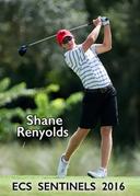 profile image for Shane Reynolds