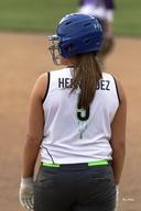 profile image for Shelby L Hernandez