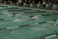 Video of Summer - 2010