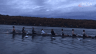 Video of November 2018