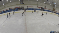 Video of 2021 Highlights