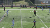 Video of 2020 Highlights