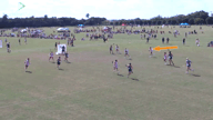 Video of 2020 Highlights