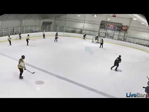 Video of St Lawrence Highlights 2/6.2022