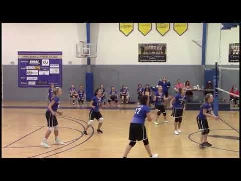 Video of Digs